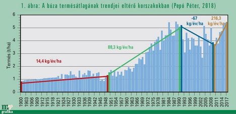 Búza termésátlag