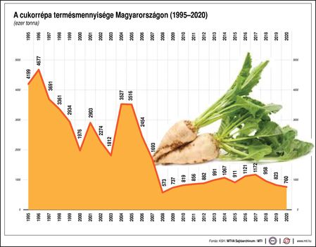 Cukorrépa20