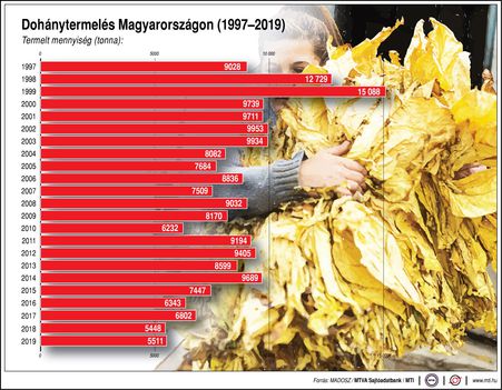 Dohánytermelés
