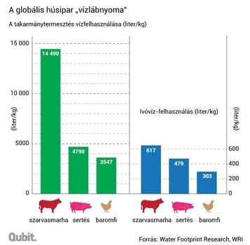 Globális húsipar