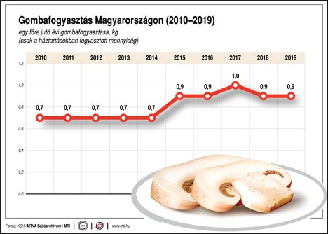 Gombafogyasztás