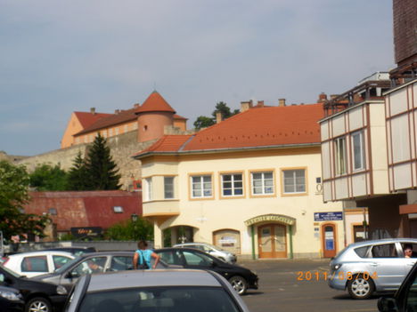 IMGP3914