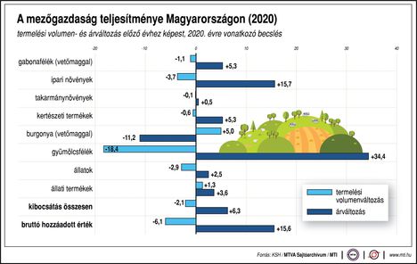 Mezőgazdaság teljesítménye