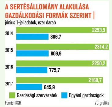 Sertés 2014-2017