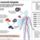Szenmonoxid_mergezes-006_1554315_2225_t