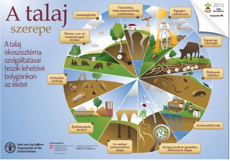 Talaj szerepe másolata