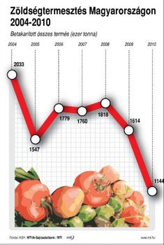 Zöldségtermesztés 2004-2010