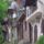 Avasi_pincesor_1555104_3681_t