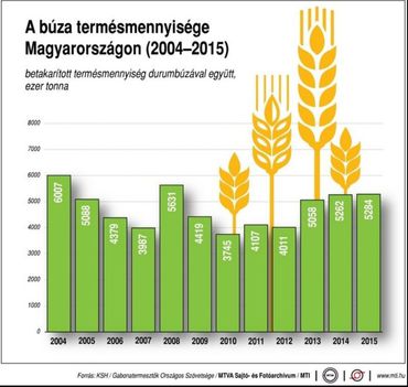 Búza 2004-2015