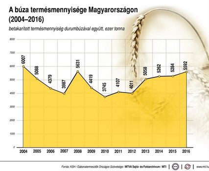 Búza 2004-2016