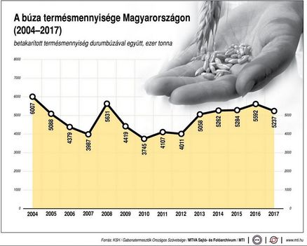 Búza 2004-2017