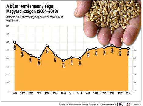 Búza 2004-2018