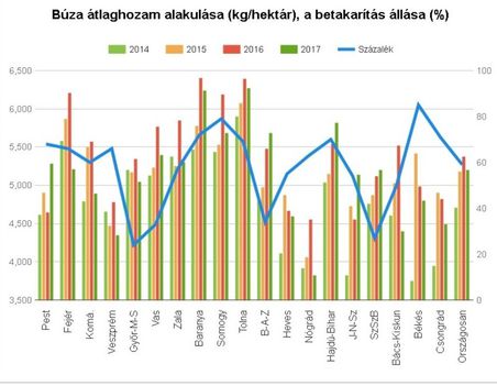 Búza átlaghozam