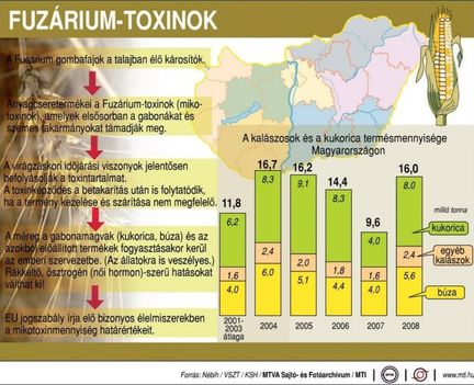 Fuzárium