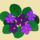 Ibolyacsokoraranyoshatterrel_1555944_6189_t