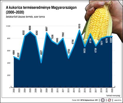 Kukorica termés