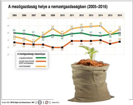 Mezőgazdaság helye