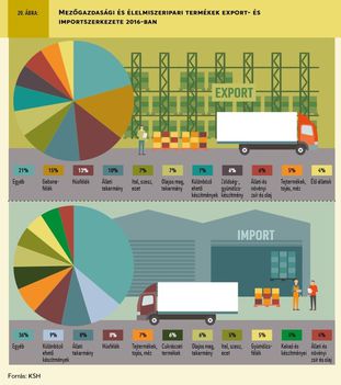 Mg. export-import 2016