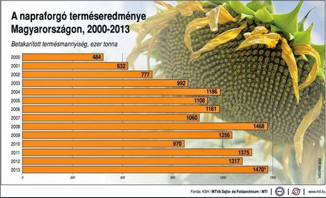 Napraforgó termés 2000-2013