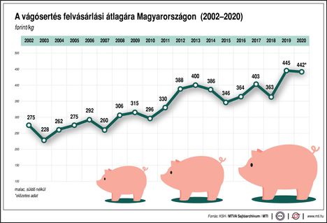 Sertés felvásárlási ár...