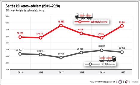 Sertés külkereskedelem
