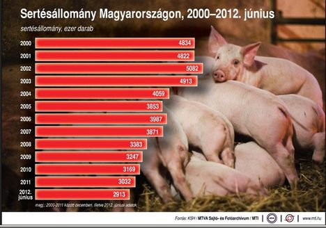 Sertésállomány,2