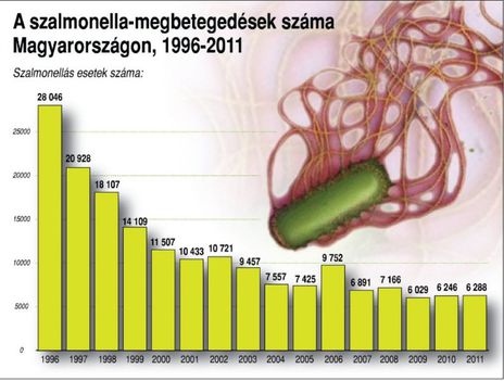 Szalmonella