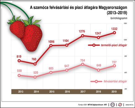 Szamóca ára