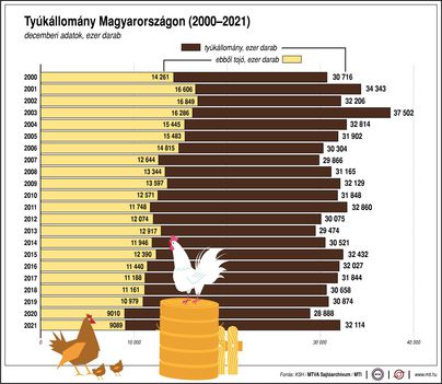 Tyúkállomány