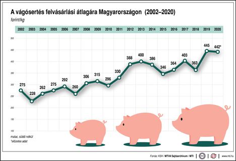 Vágósertés ár