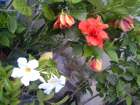 20150825_174916