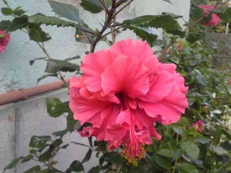 20150825_174927