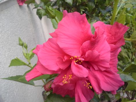 20150825_174955
