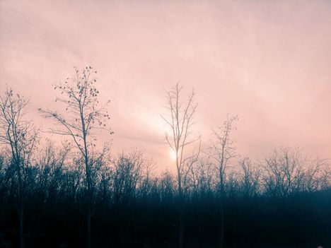 COLLAGE_20201202_172609