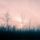 Collage_20201202_172609_1556391_7649_t