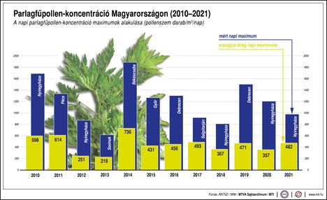 Parlagfüpollen