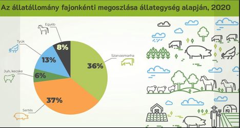 llatállomány