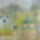 A_vajason_tulrol_1558898_9047_t