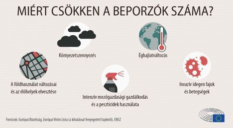 Beporzás
