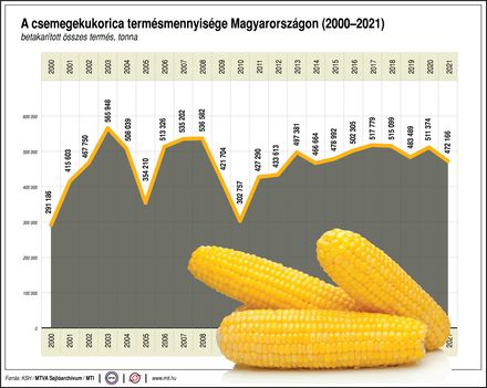 Csemegekukorica