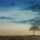 Egyedul_1558933_3194_t