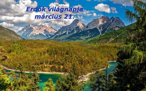 Erdők világnapja