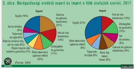 Export-import