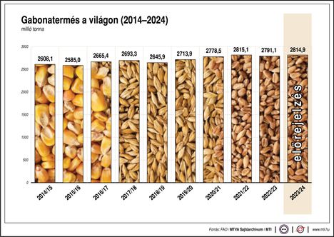 Gabonatermés a világon