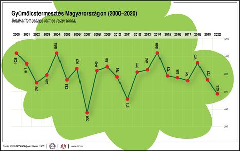 Gyümölcstermesztés