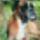 Img_20230630_203210_1558690_7191_t