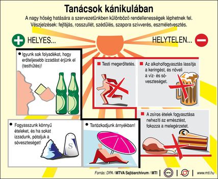 Kánikulai tanácsok