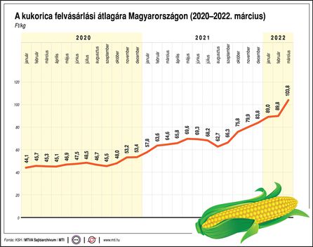 Kukorica átlagára