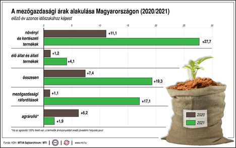 Mg. árak