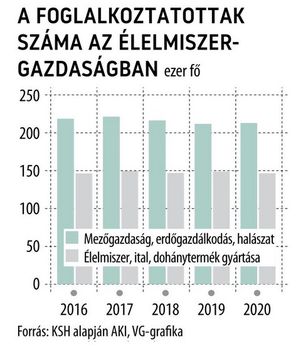 MG. foglalkotatottak